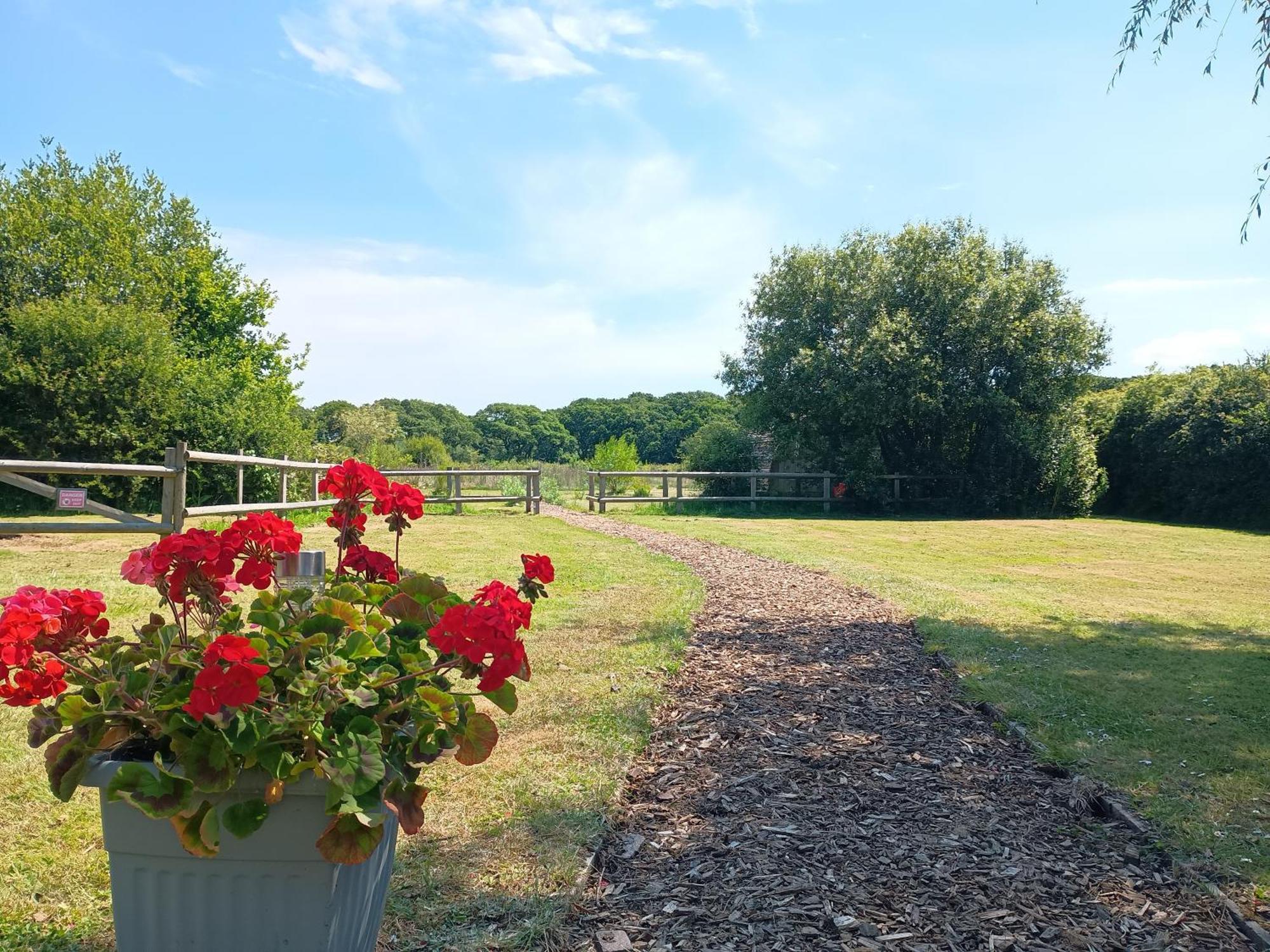 Cosy Cabins At Westfield Farm, Isle Of Wight Yarmouth  Buitenkant foto